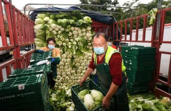 河南万吨蔬菜滞销:农民没有配送能力，大客户因为一些限制去不了。